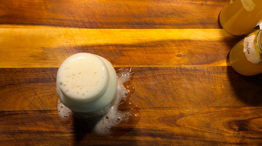 Ginger Bug and Homemade Soda